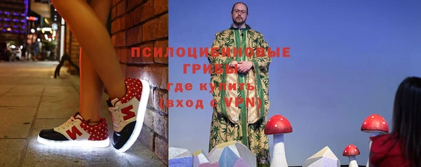 стафф Алзамай
