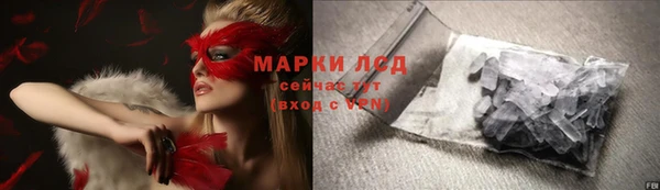 стафф Алзамай