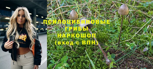 стафф Алзамай