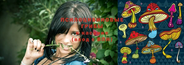 спайс Алексеевка
